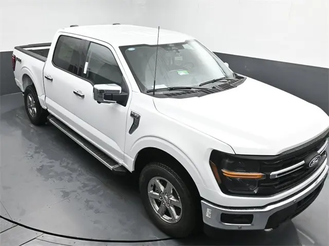 image-19