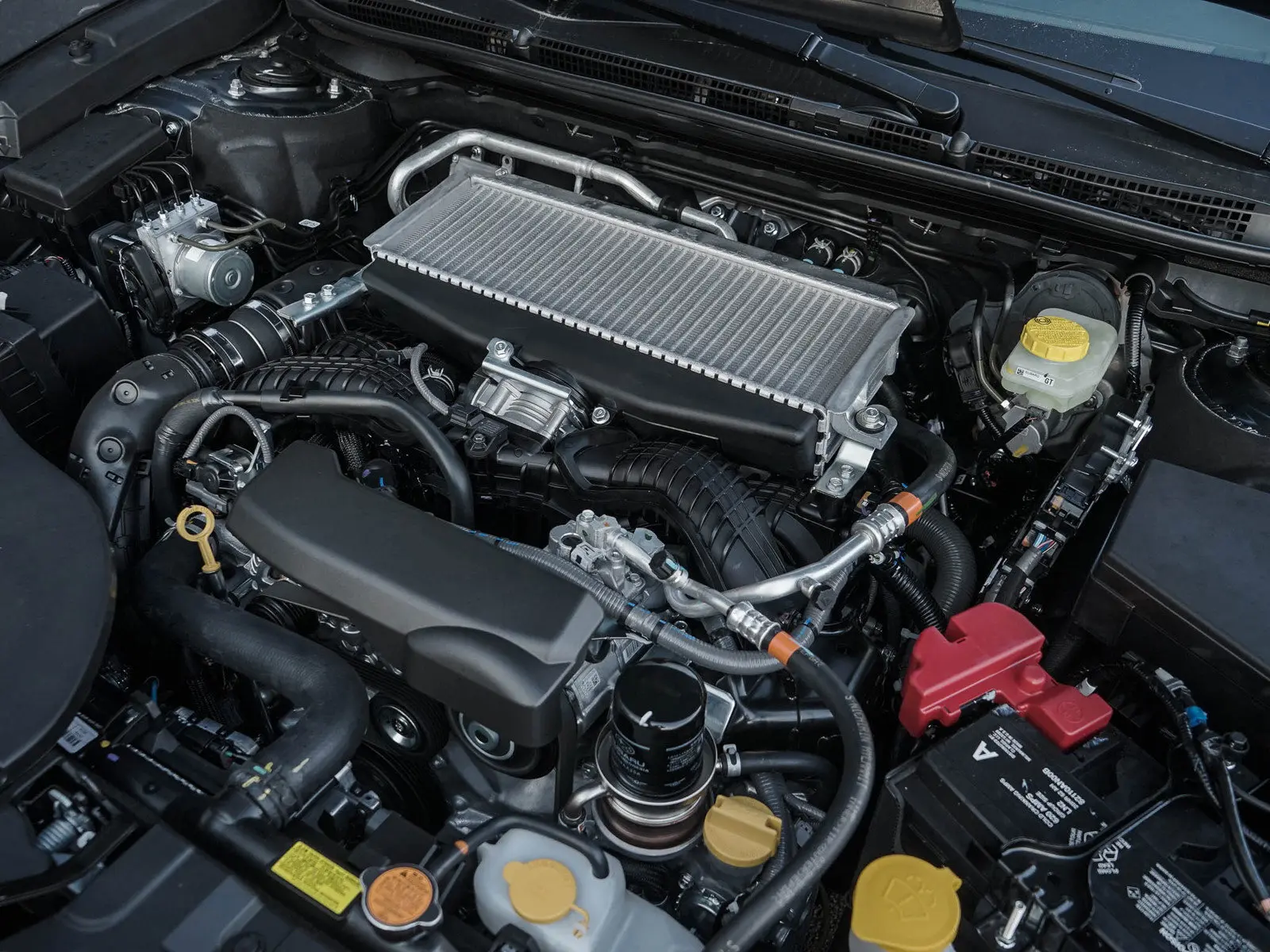 image-11