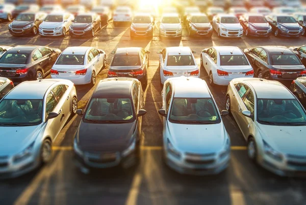 Many Cars in Parking Lot