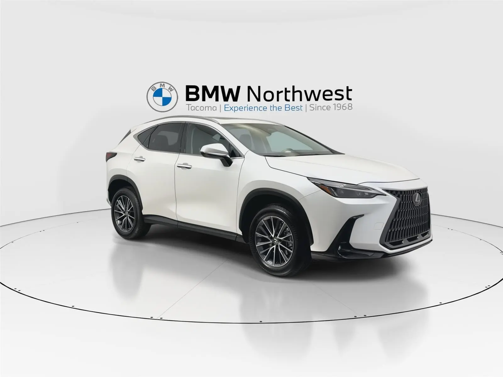 2022 Lexus NX 350 photo 5