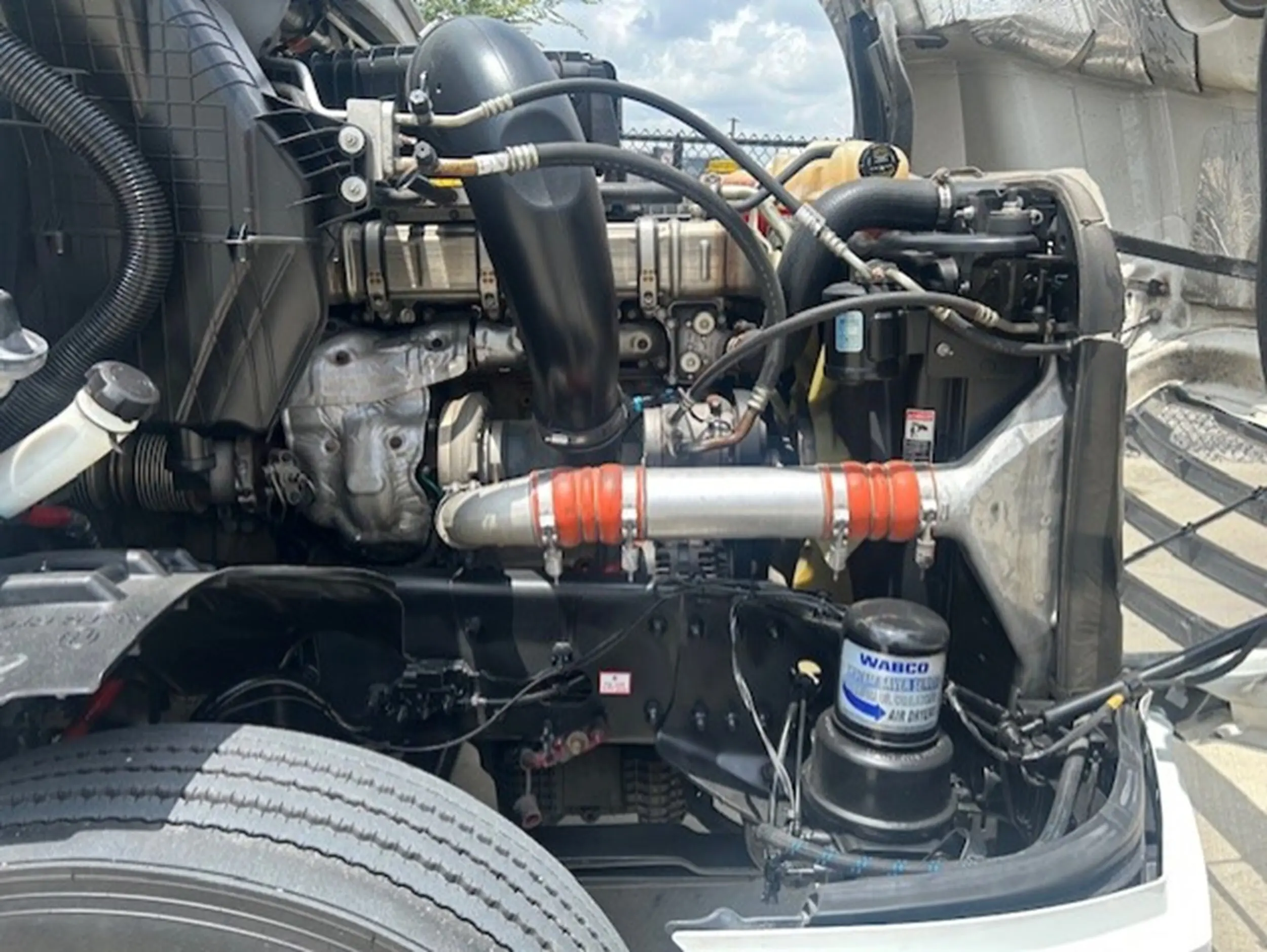 image-11