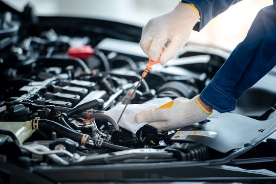 Expert Vehicle Service