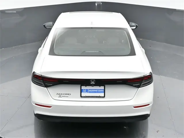 image-19