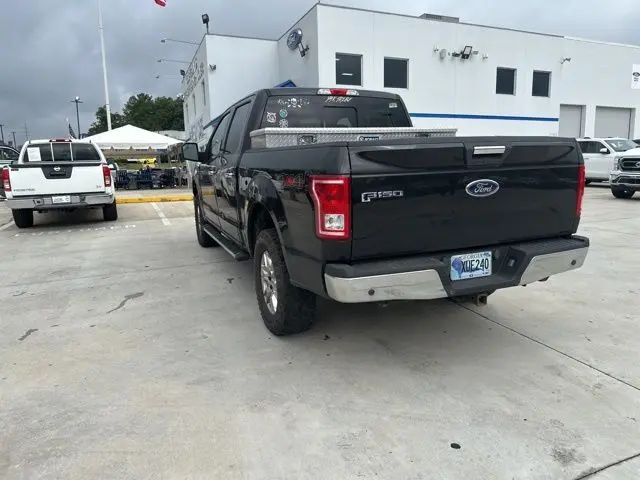 image-19