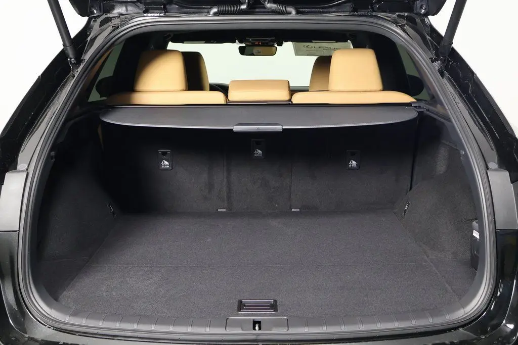 2025 Lexus RX 350 photo 7