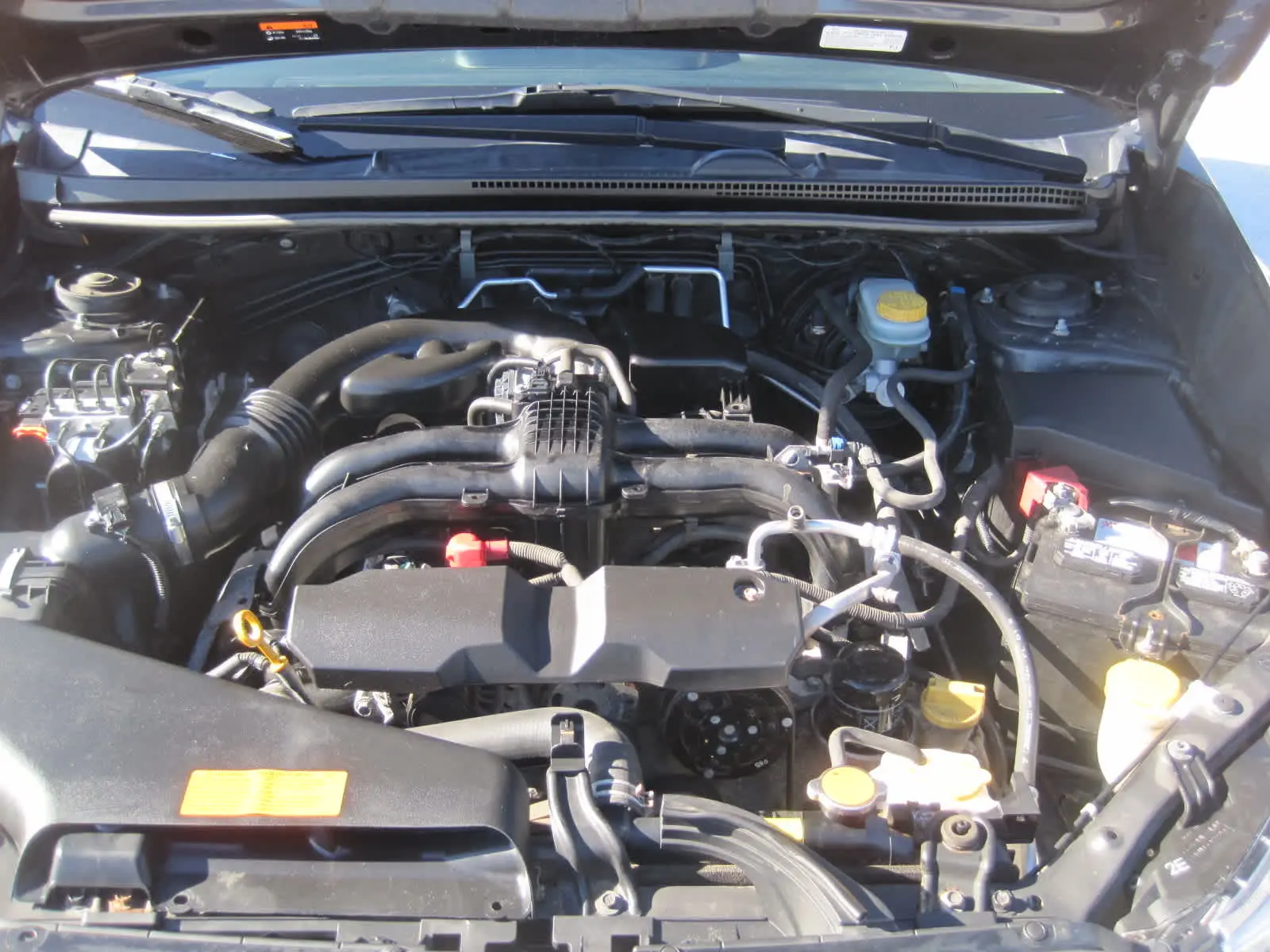 image-6