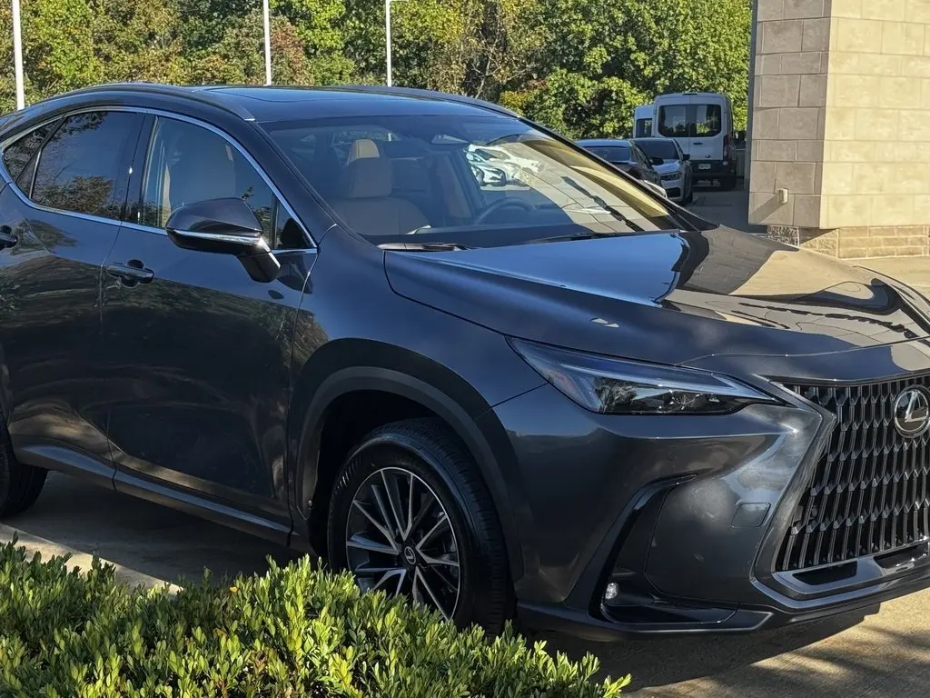 2026 Lexus NX 350 photo 6
