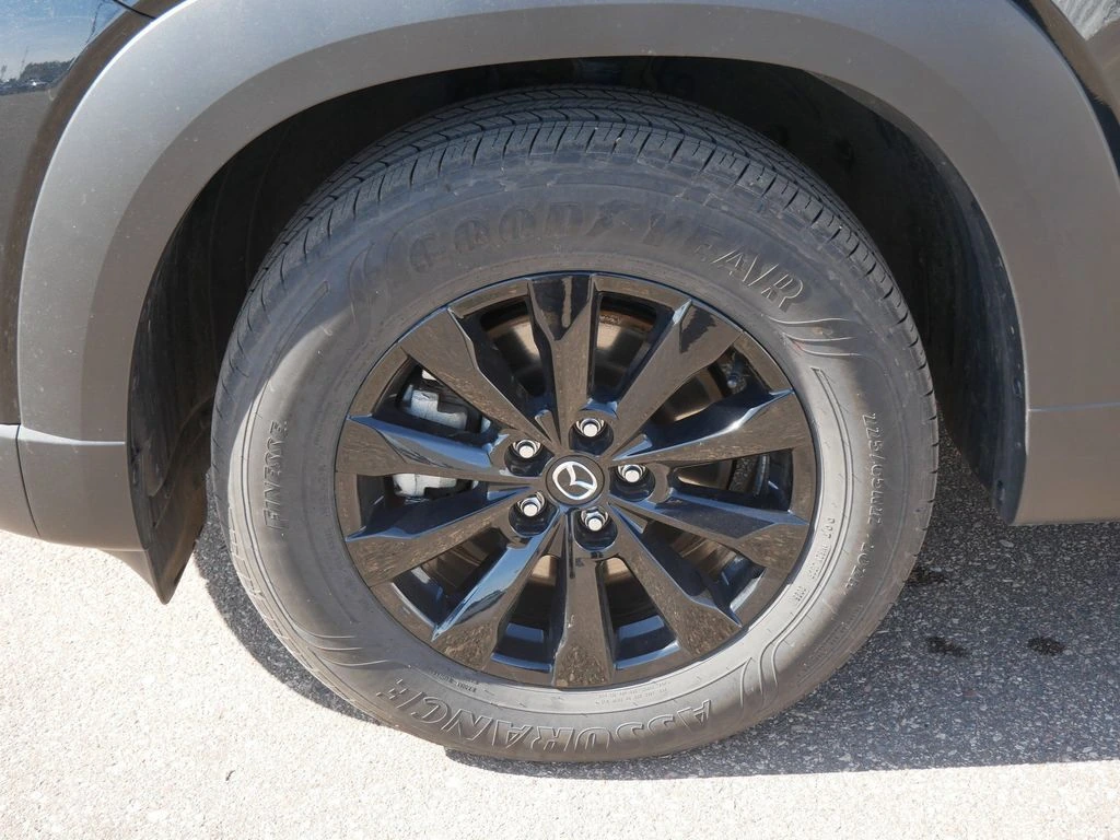 image-7