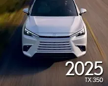 2025 RX 500h F SPORT