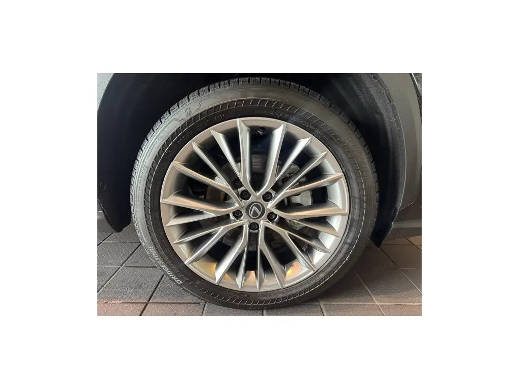 image-7
