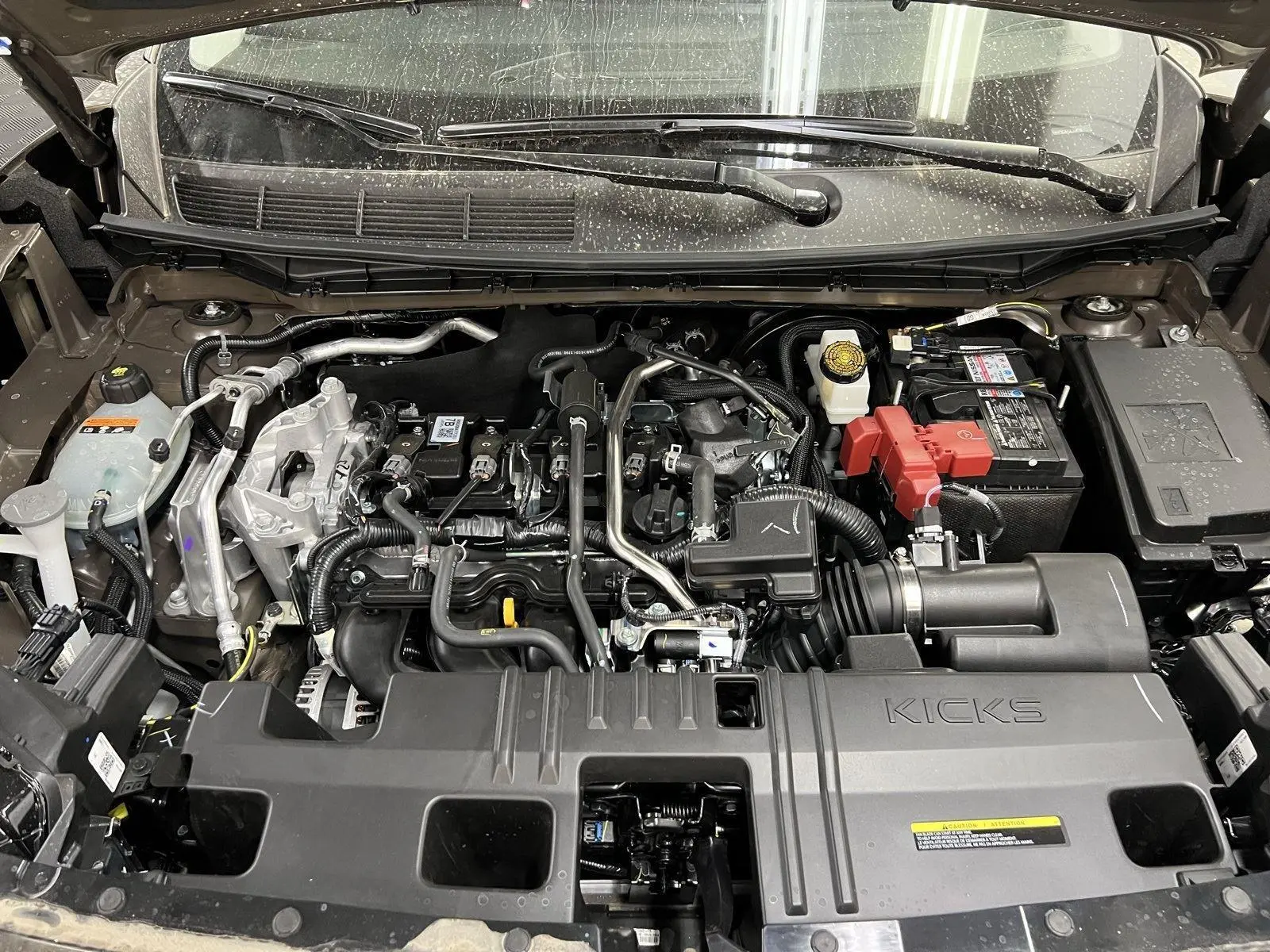 image-7