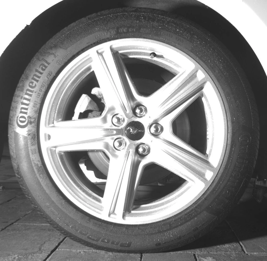 Photo 15