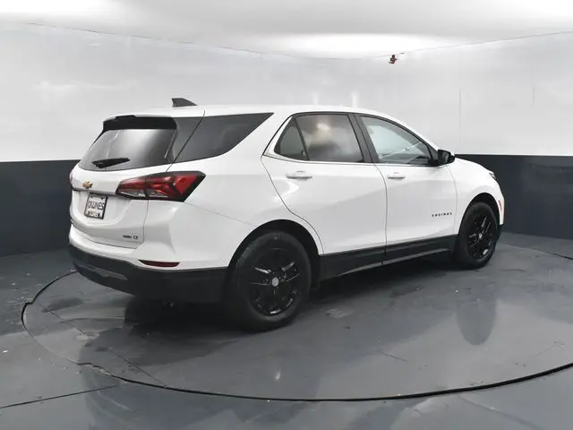 image-7