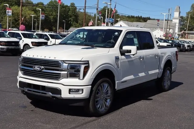 2025 Ford F-150 Platinum photo 16