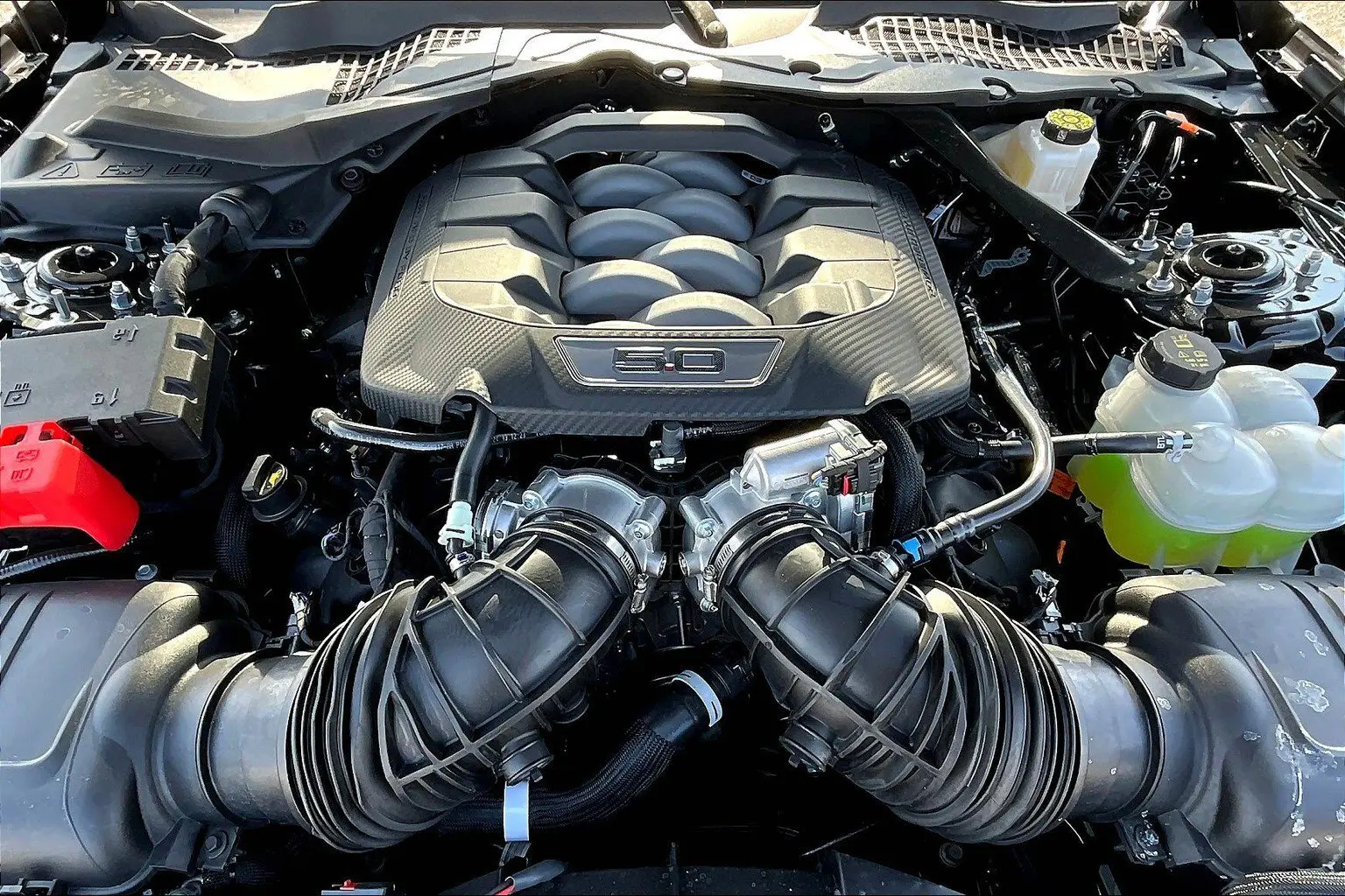 image-10