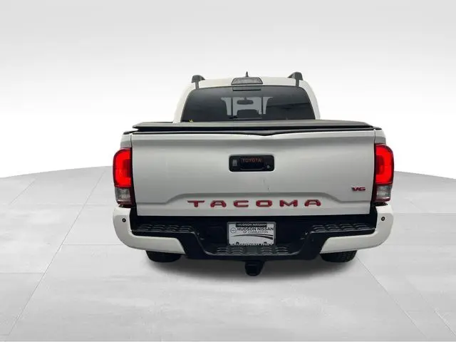 image-7