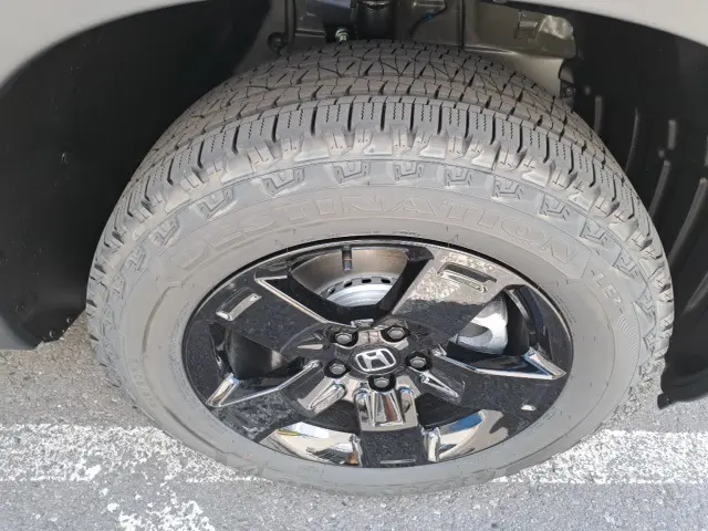 image-19