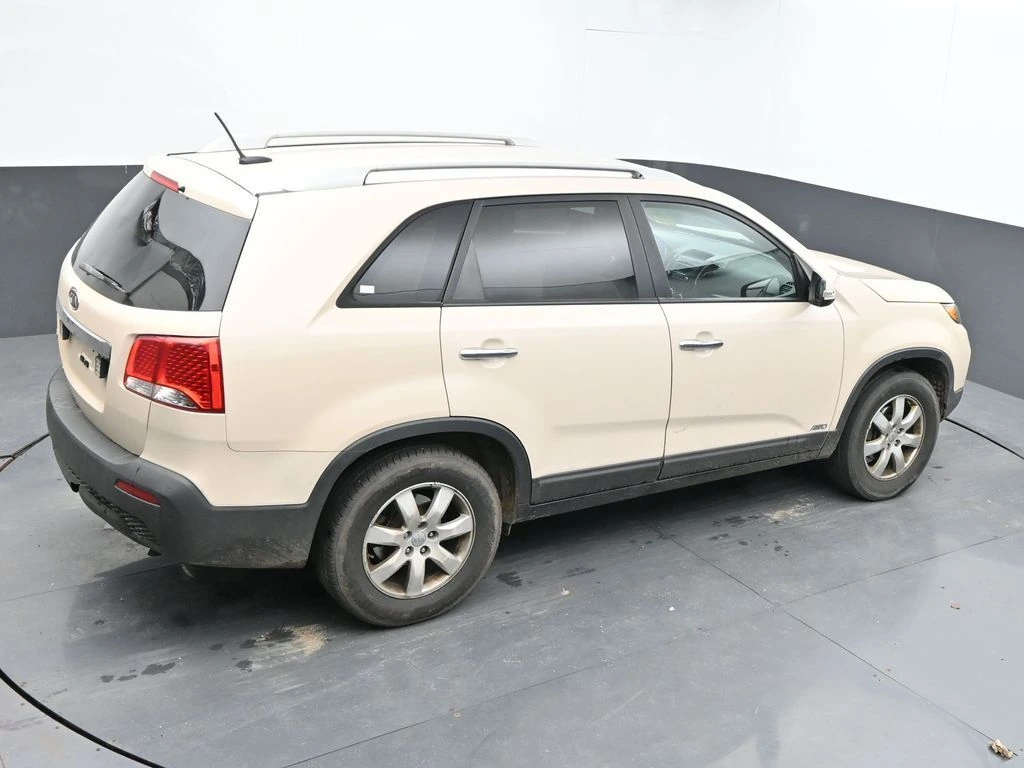 image-19