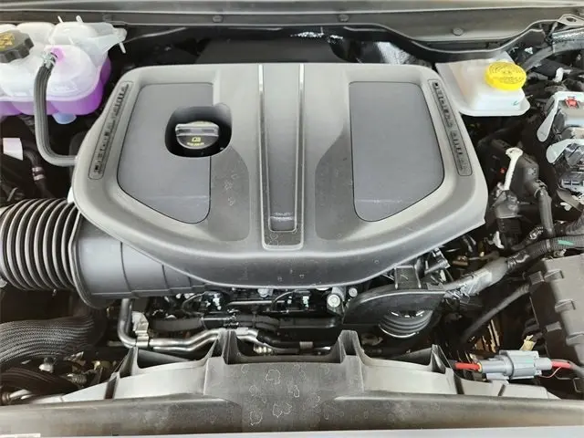 image-19