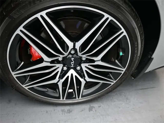 image-19