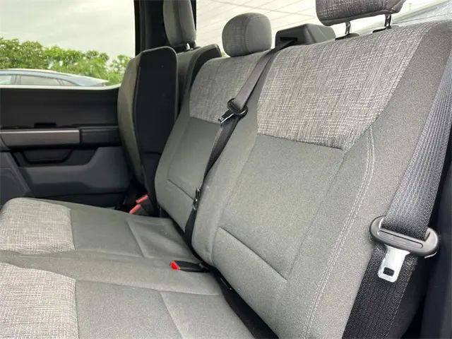 image-19