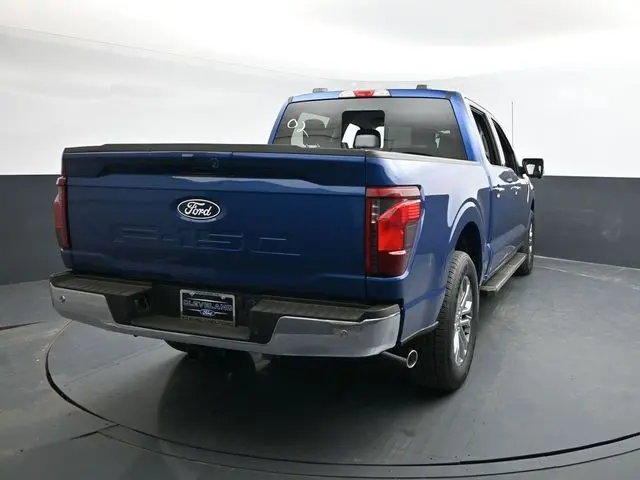 image-7