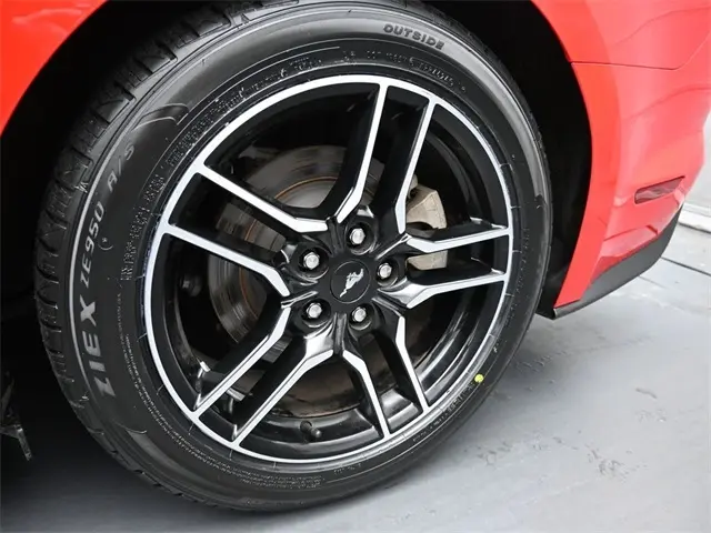 image-19