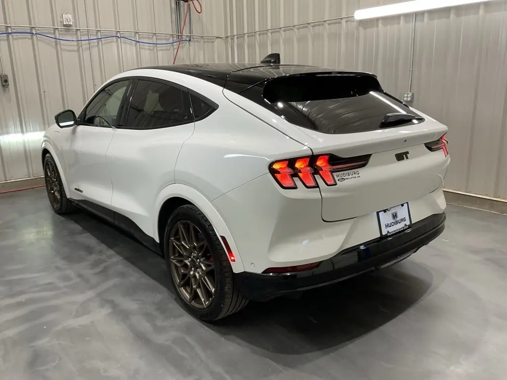2024 Ford Mustang Mach-E GT photo 19