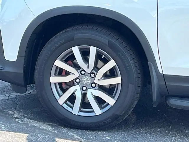 image-5