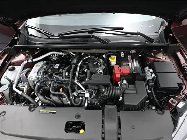 image-13
