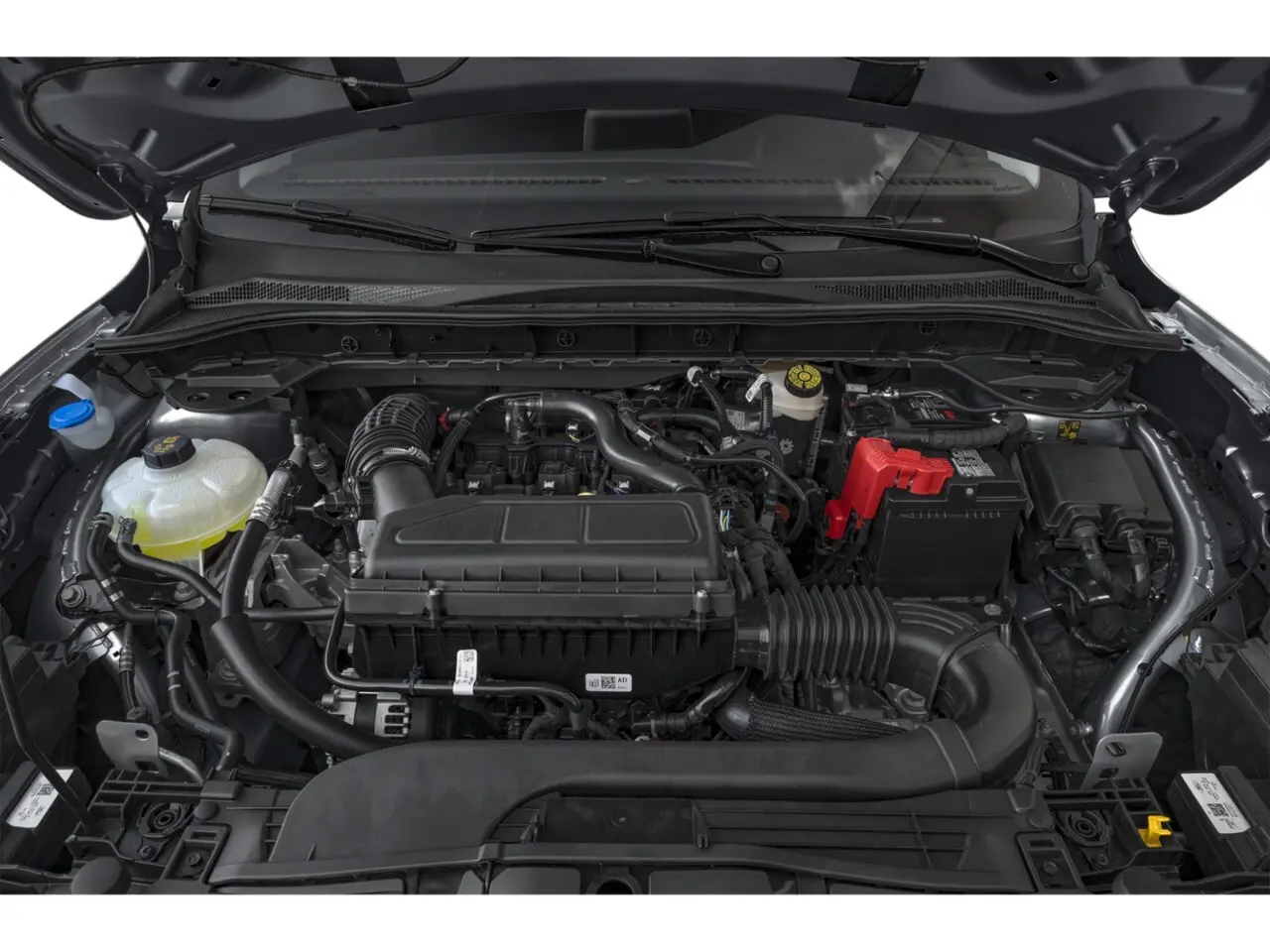 image-17