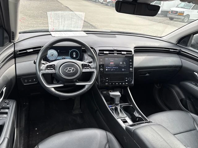 image-10