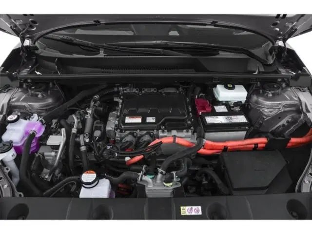 image-14