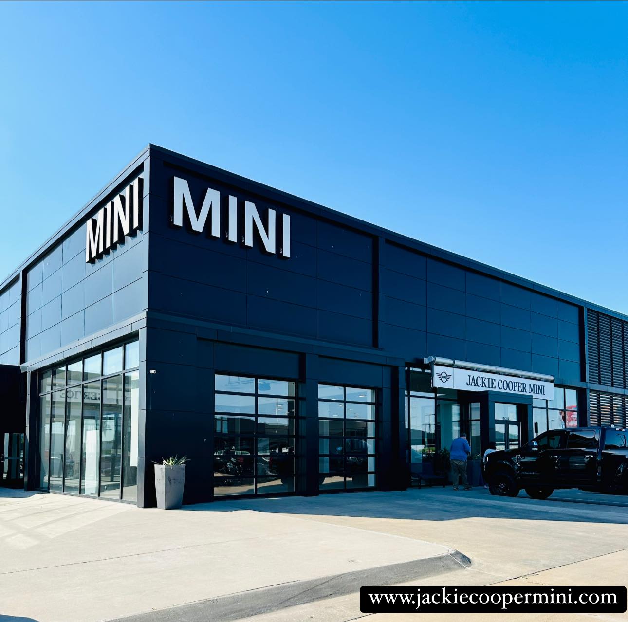 Jackie Cooper MINI