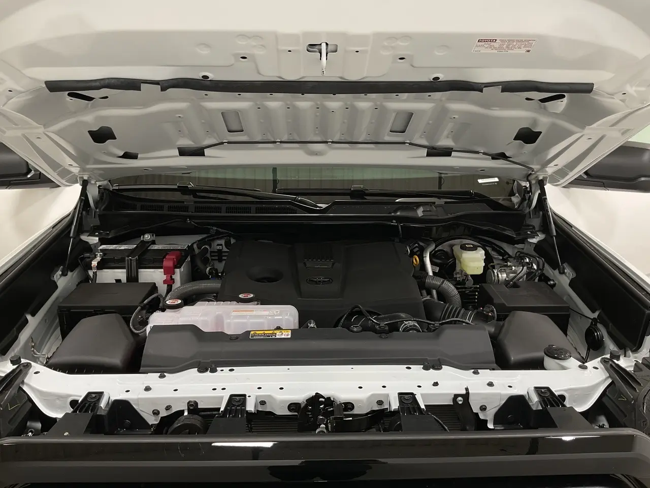 image-19