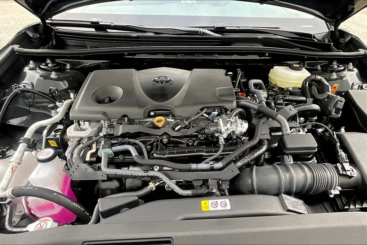 image-12