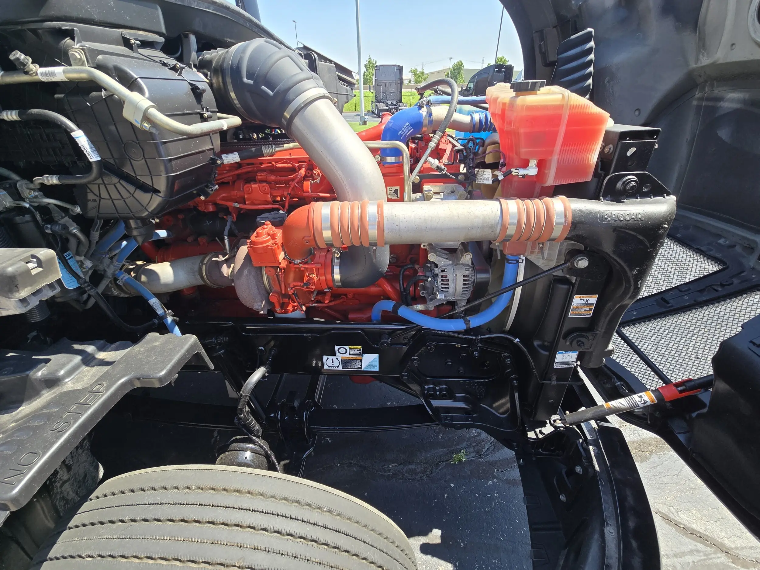 image-19