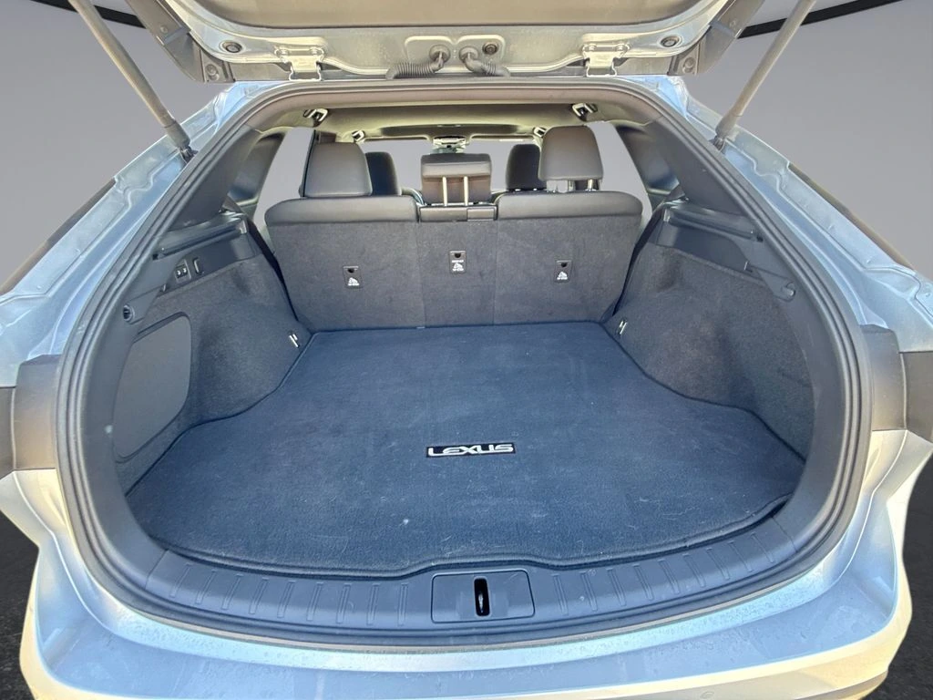 2025 Lexus RX 350 - Photo 13