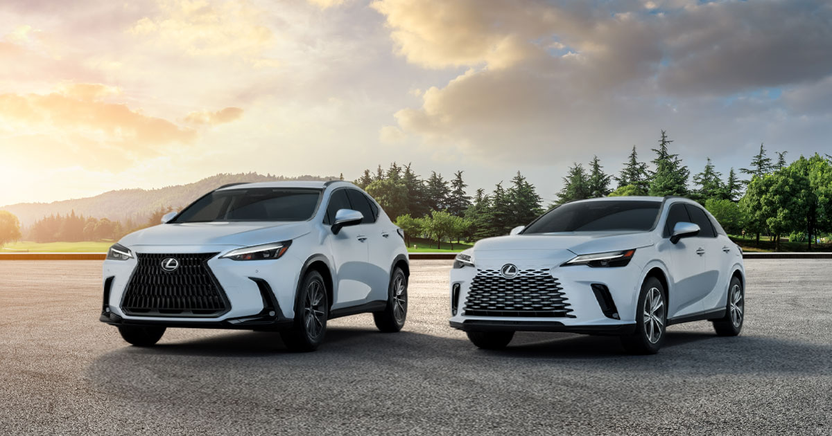 A white Lexus NX compact luxury crossover (left) and a white Lexus RX midsize luxury crossover (right).