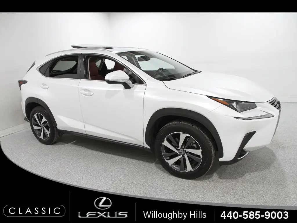 2020 Lexus NX 300's photo