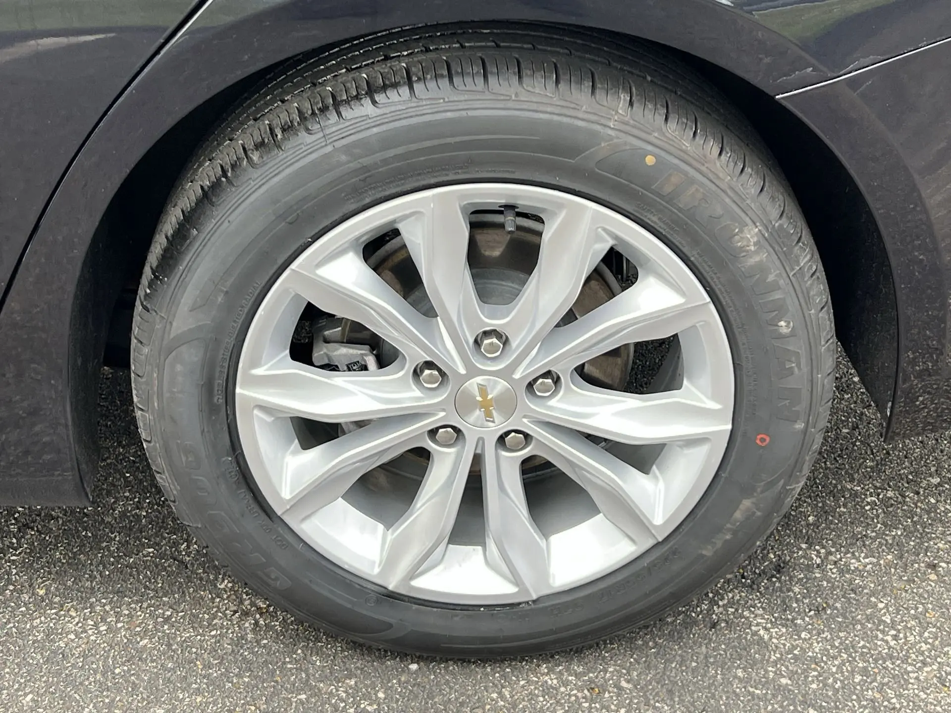 image-19