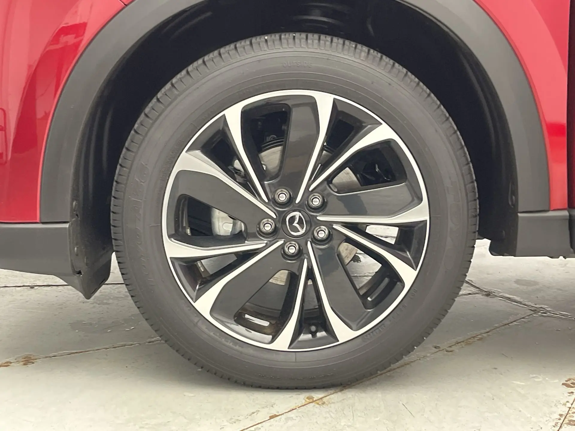 image-12