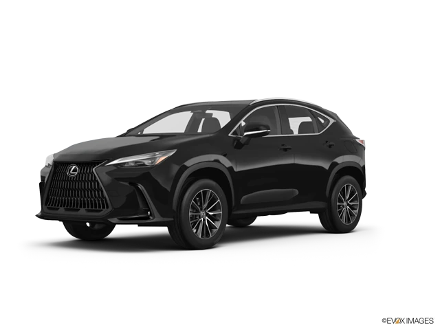 2025 Lexus NX