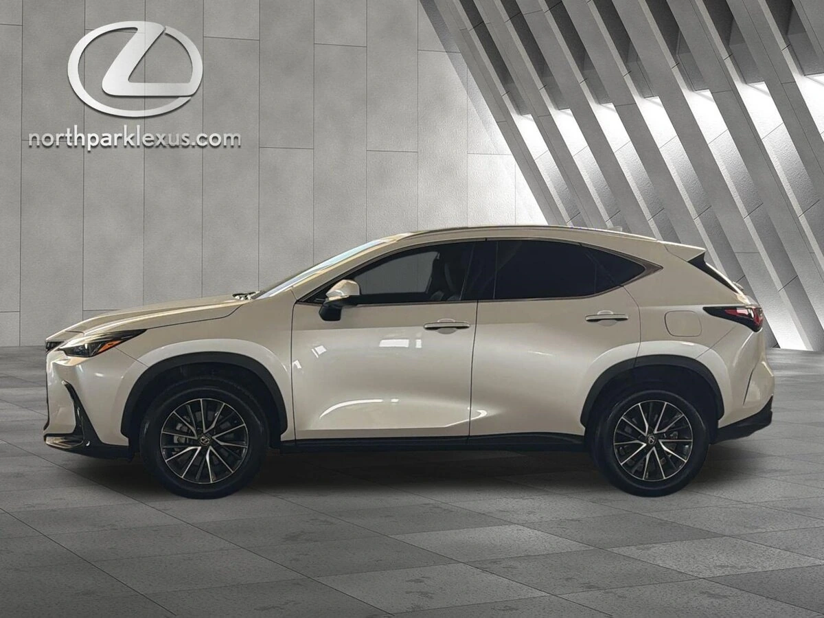 2025 Lexus NX