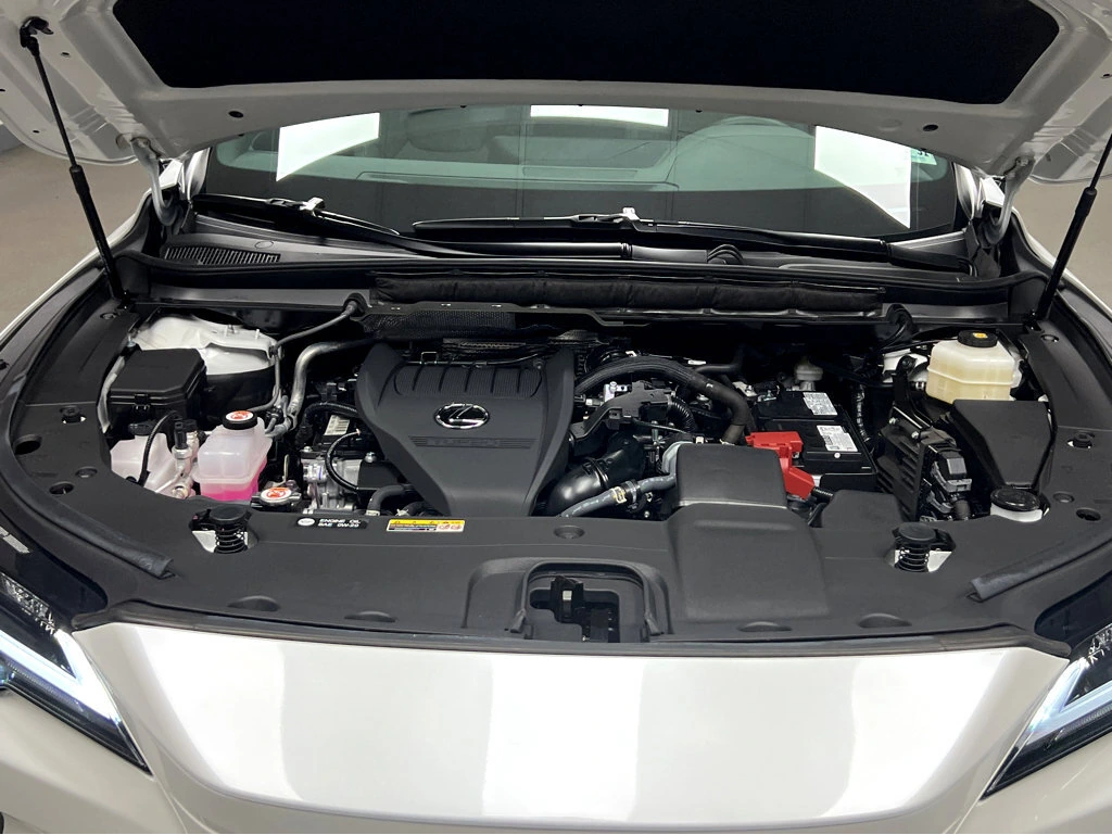 Photo 26