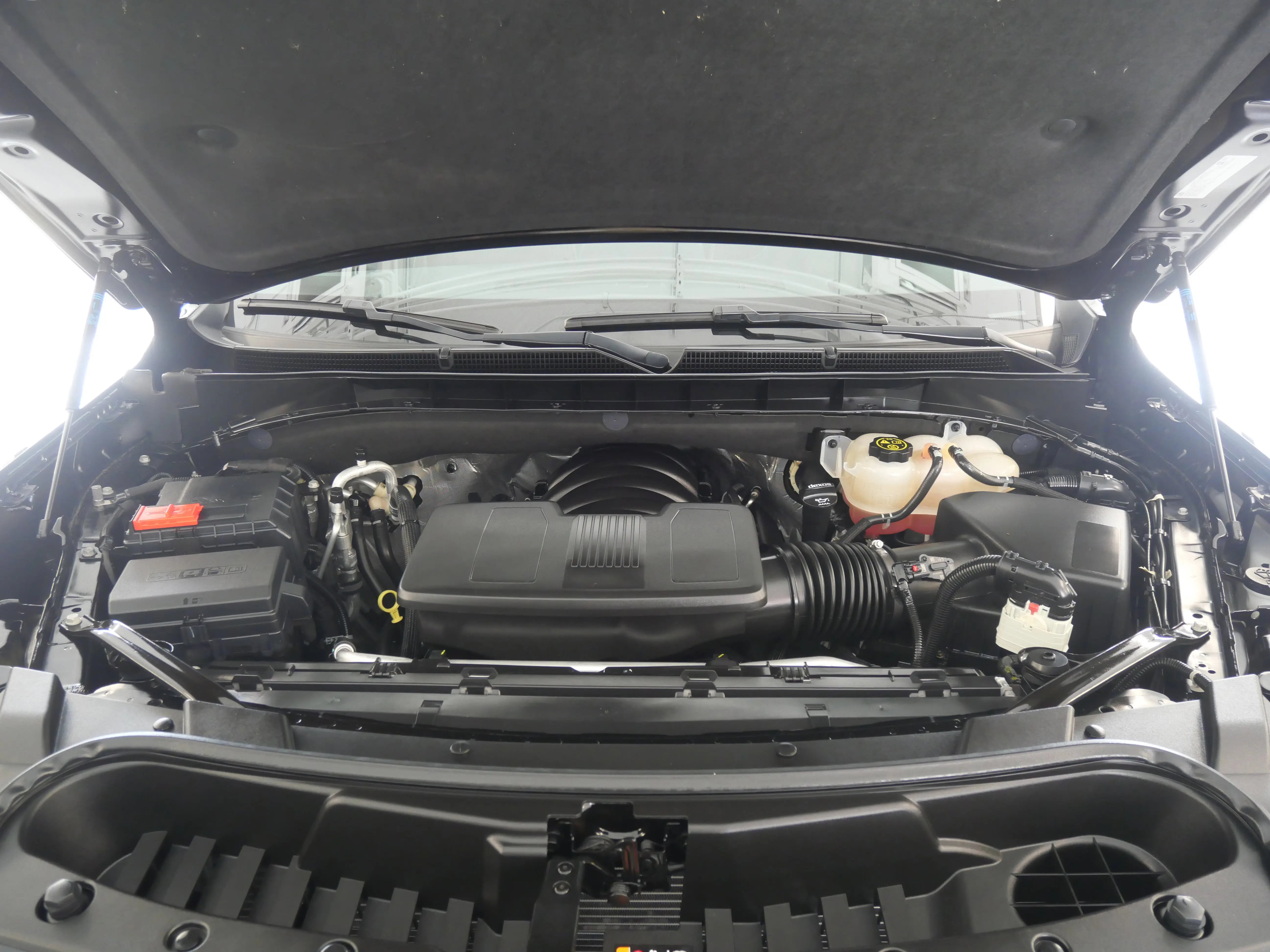 image-7