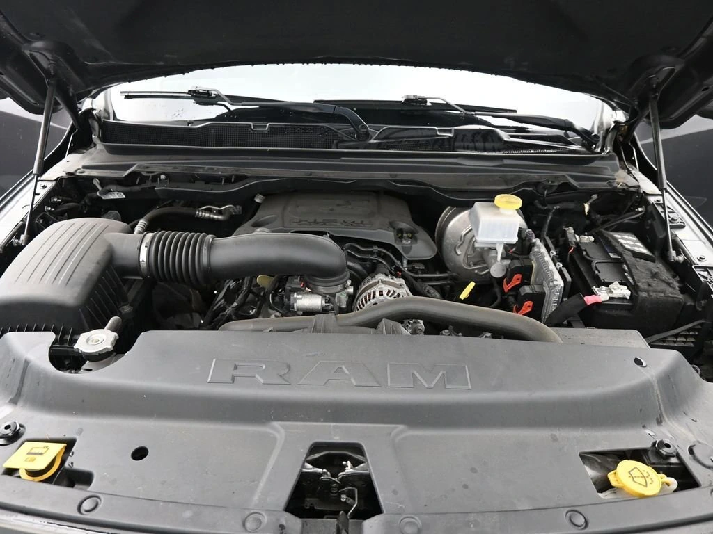 image-19