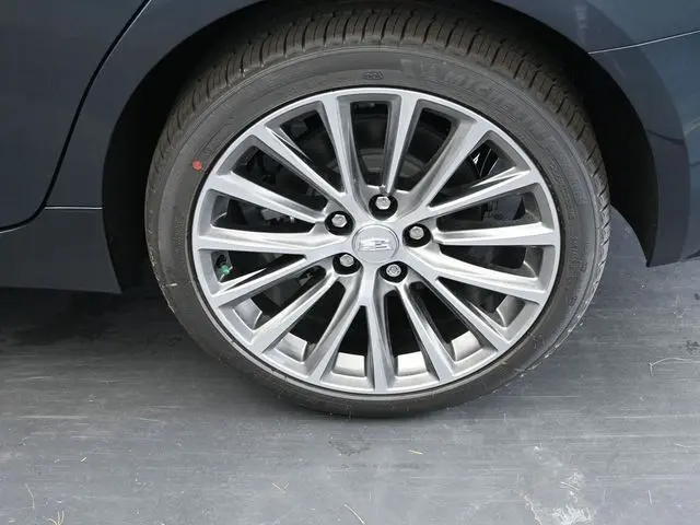 image-11