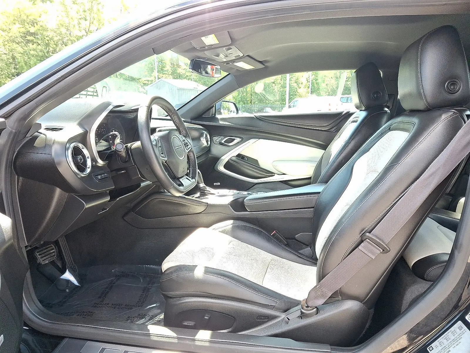 image-12