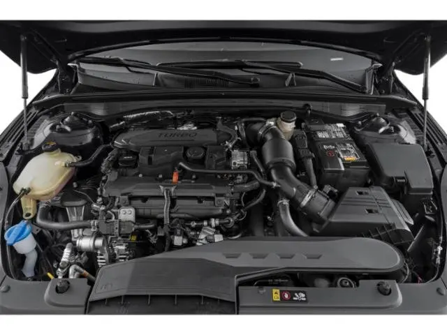 image-14